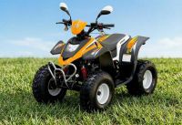 Квадроцикл STELS ATV 50 C