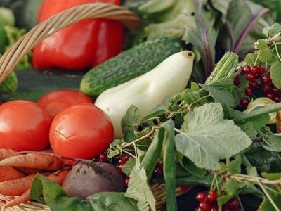 Представлен рейтинг органических регионов России