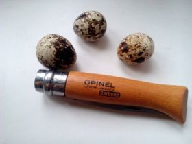 Нож складной Opinel №7 VRN Carbon, углеродистая сталь, рукоять бук