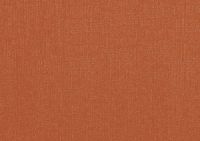 Бумага для пастели "Палаццо" 21x29,7 см 160 г терракотовый