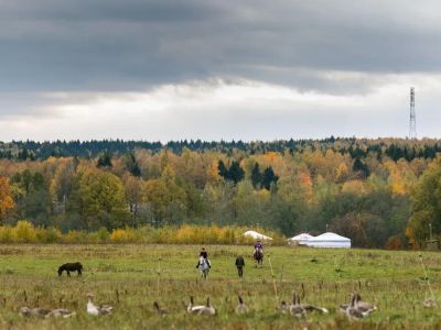 Музей соколиной охоты