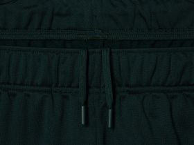 Мужские спортивные брюки Lacoste