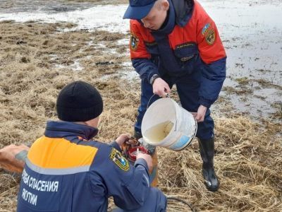 В Якутии отмечается I-II класс пожарной опасности леса