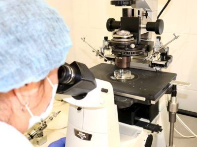 Как в Якутии отбирают доноров спермы и яйцеклеток и сколько за это платят