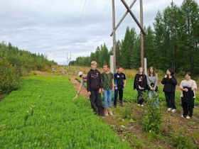 К вершинам экологии: школьное лесничество «Чычыпкаан» завершило летний сезон