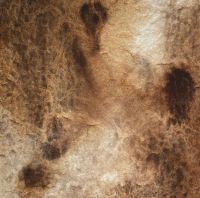Акварель "Handy" кювета 2 мл, Burnt umber brownish
