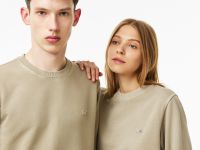 Хлопковый свитшот Lacoste Unisex