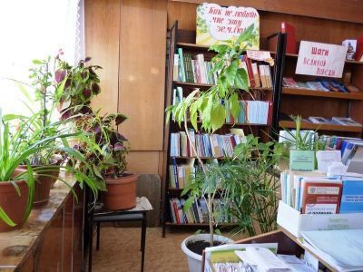 Чуевская сельская библиотека