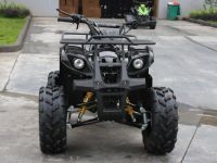 Квадроцикл RATO Hammer S 200