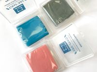 Клячка Малевичъ в пластиковом футляре, цветная