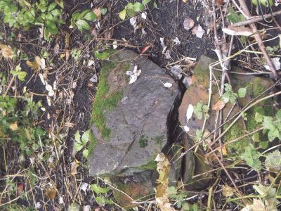 Братская могила мирных жителей, расстрелянных фашистами