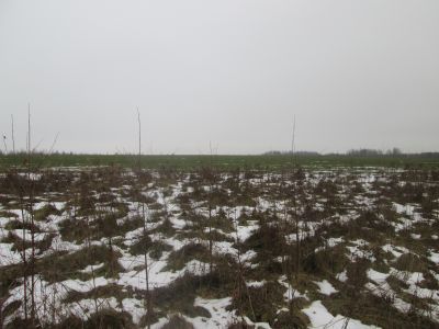 Памятное место, где в 1861 году происходило одно из крупных выступлений крестьян