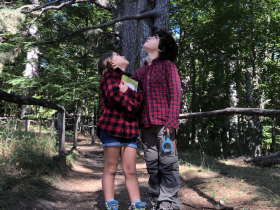 Ботинки CYCLONE WP JR