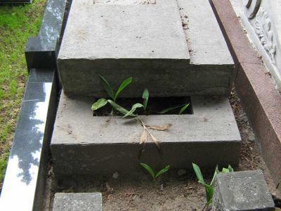 Могила Середы Семена Пафнутьевича (1871-1933), первого наркома земледелия