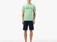 Мужская футболка Lacoste из хлопка