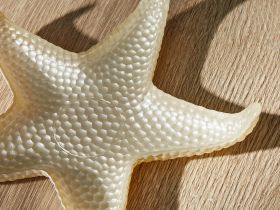 Блюдо Alta marea IV