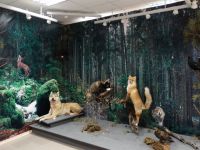 Тамбовский музей сельского хозяйства