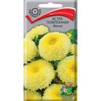 Астра помпонная Жёлтая