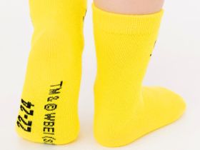 Носки детские трикотажные для девочек, 2 пары в комплекте