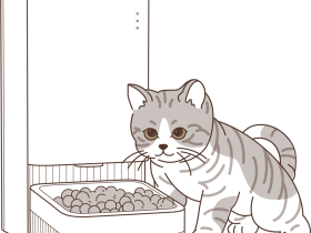 Умная автоматическая кормушка Xiaomi