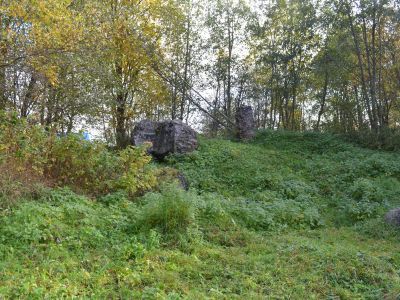 Место расположения Петровских домен