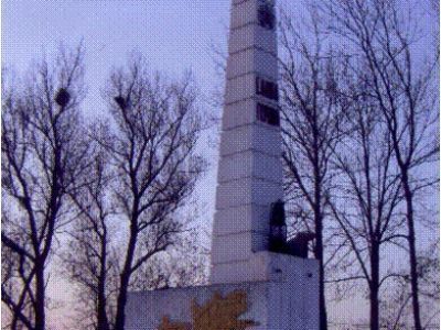 Памятник шахтёрам шахтоуправления "Дальневосточное", погибшим в годы Великой Отечественной войны