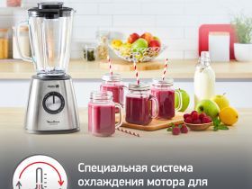 Блендер Moulinex LM439D10