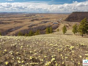 Весеннее пробуждение. Пешая экскурсия по Табагинскому Мысу