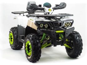 Квадроцикл MOTOLAND ATV 200 Wild Track