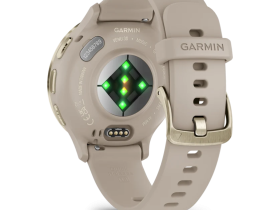 Смарт-часы Garmin Venu 3s Soft Gold French Gray Silicone (010-02785-02)