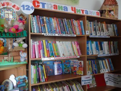 Полдневская сельская библиотека № 4