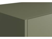 Распашной шкаф Изи 2-100x220 Оливковый/Оранжевый