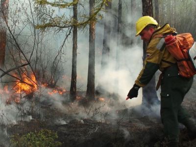 19 июля: тушат два лесных пожара