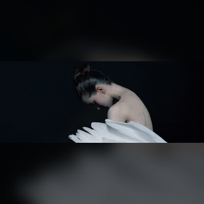 Лебединое озеро