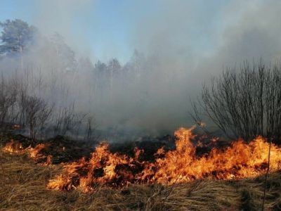 Три лесных пожара обнаружено в Якутии за сутки