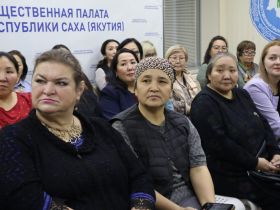 В Якутии представили демоверсию нового ресурса «Ийэ кут – здоровое материнство»