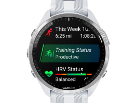 Смарт-часы Garmin Forerunner 965 (Whitestone) (010-02809-11)