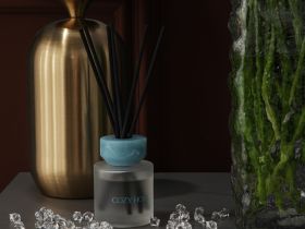 Диффузор Оазис 100 мл