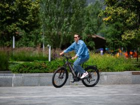 Электровелосипед Alpine Bike Dammastock, год 2025, цвет Коричневый, ростовка 18