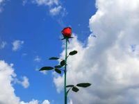 Парк роз г. Строителя