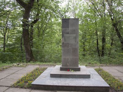 Могила Красикова П.А., соратника В.И. Ленина, памятник на могиле