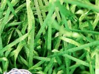 Наполнитель "Metallic foil", green