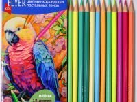 Набор карандашей цветных FLYER "Попугай", 12 пастельных цветов, трехгранная форма, толщина грифеля 3