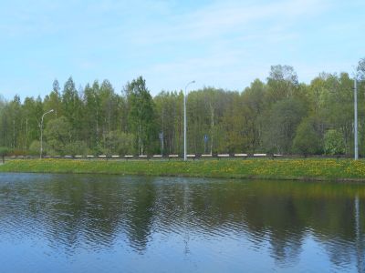 Плотина Черного пруда