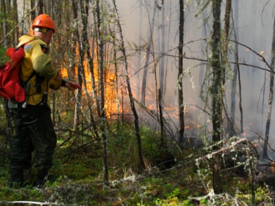 9 июля: борьба с лесным пожаром продолжается