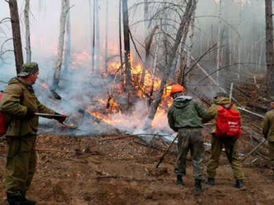 18 июля: пожар продолжают тушить 15 огнеборцев
