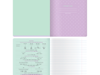 Тетрадь предметная MESHU "Duo Brush" 48 л - Русский язык