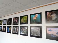 Экспозиционно-выставочный центр п. г. т. Славянка