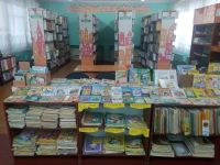 Библиотека для семьи в р. п. Черемушки