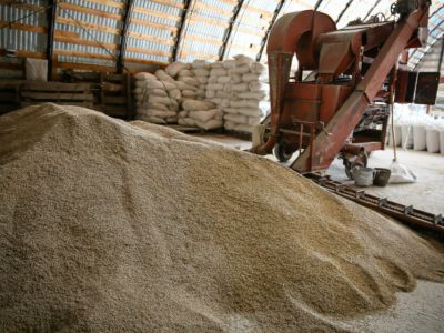 Новый ГОСТ на муку заработает в России с 1 апреля